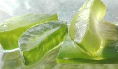 Aloe Vera: Proprietà, Usi e Benefici