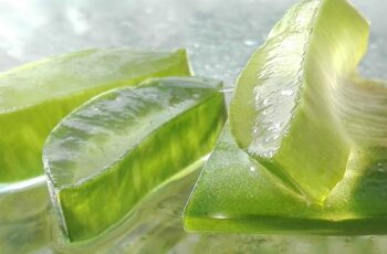 Aloe Vera: Proprietà, Usi e Benefici